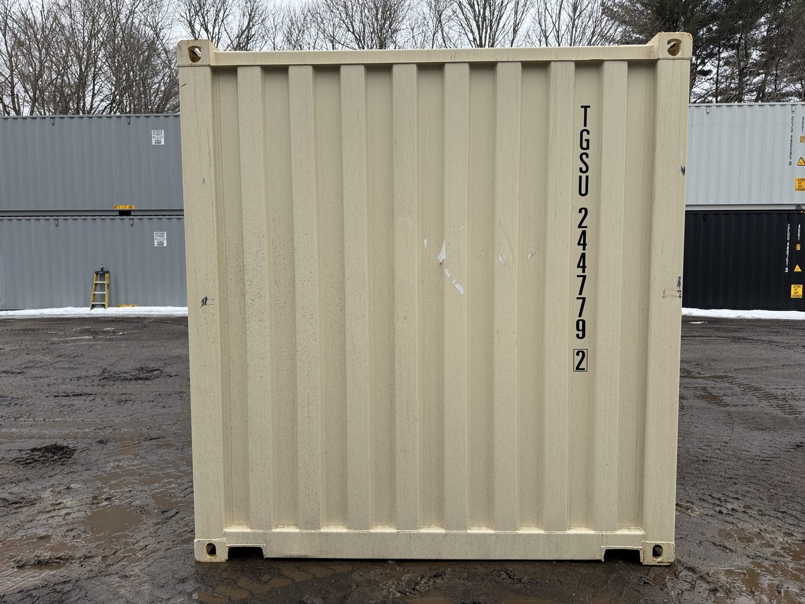 20ft New Shipping Container - Wind & Watertight - Beige - Unit TGSU244779-2 - Image 12