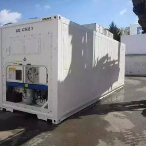 30 Feet Freezer Container Customized Mobile Cold Storage Cell Container / Reefer