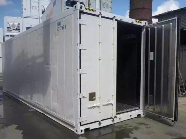 30 Feet Freezer Container Customized Mobile Cold Storage Cell Container / Reefer