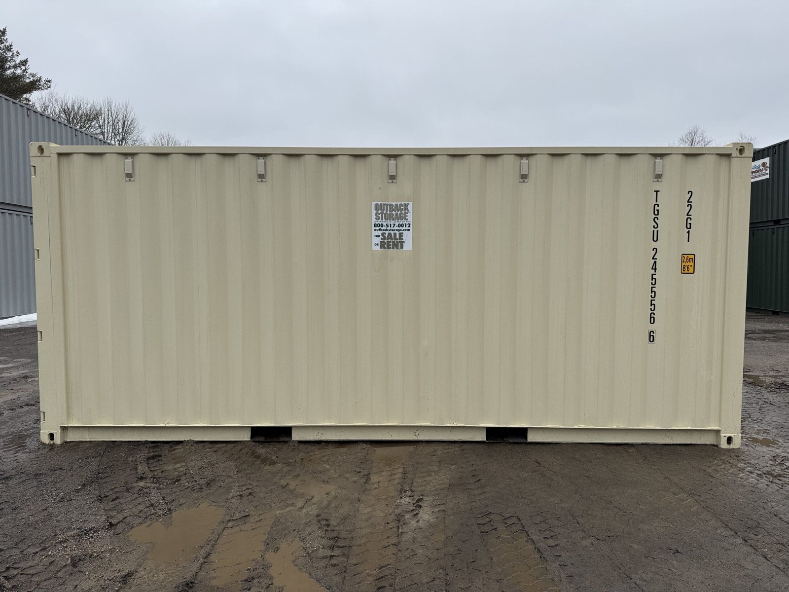 20ft New Shipping Container - Wind & Watertight - Beige - Unit TGSU245556-6 - Image 10