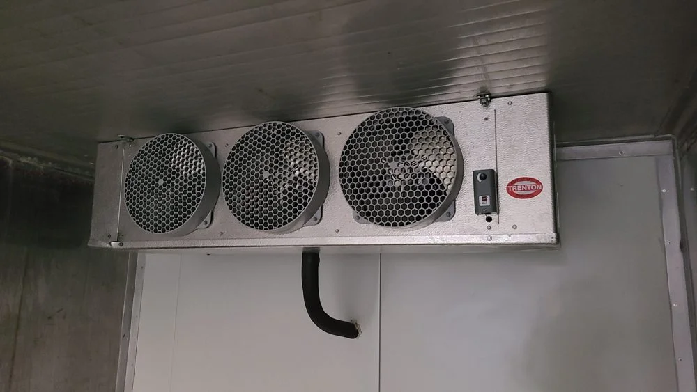 Single-Phase 20ft New Refrigerated Container Medium Temp - Image 4