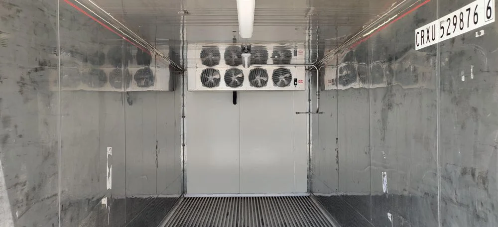 Single-Phase 20ft Refurbished Refrigerated Container Low Temp - Image 3