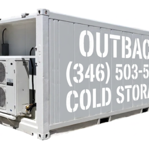 Single-Phase 20ft New Refrigerated Container Low Temp