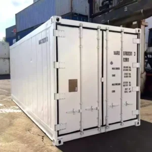 20ft Freezer Container - Mobile Cold Storage Unit (Thermo King / Reefer)